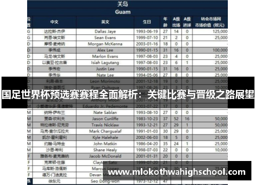 国足世界杯预选赛赛程全面解析：关键比赛与晋级之路展望