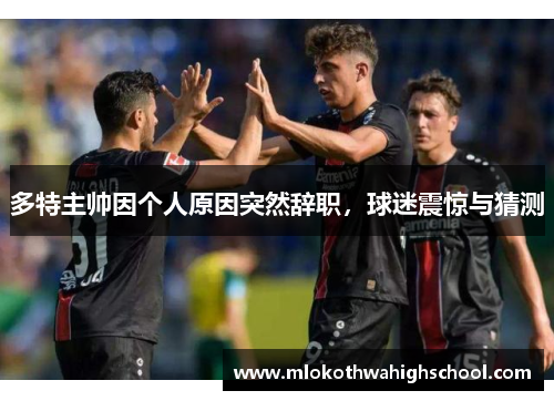 多特主帅因个人原因突然辞职，球迷震惊与猜测