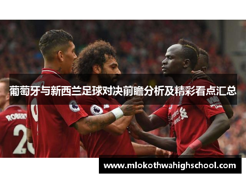 葡萄牙与新西兰足球对决前瞻分析及精彩看点汇总