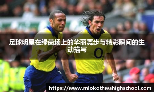 足球明星在绿茵场上的华丽舞步与精彩瞬间的生动描写