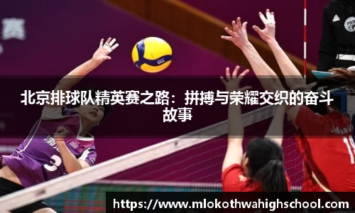 威廉希尔中文网站