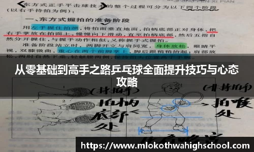 从零基础到高手之路乒乓球全面提升技巧与心态攻略
