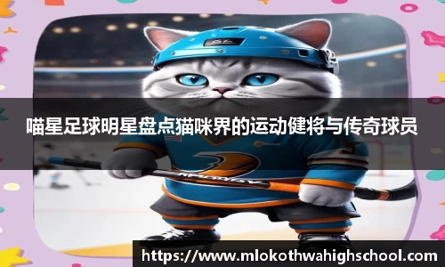 喵星足球明星盘点猫咪界的运动健将与传奇球员